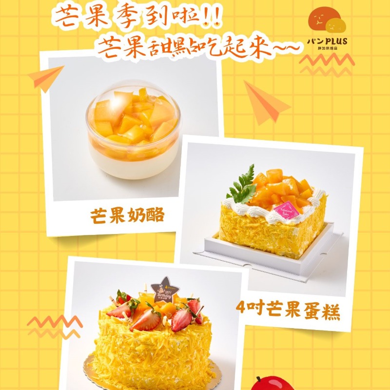胖加-最新消息