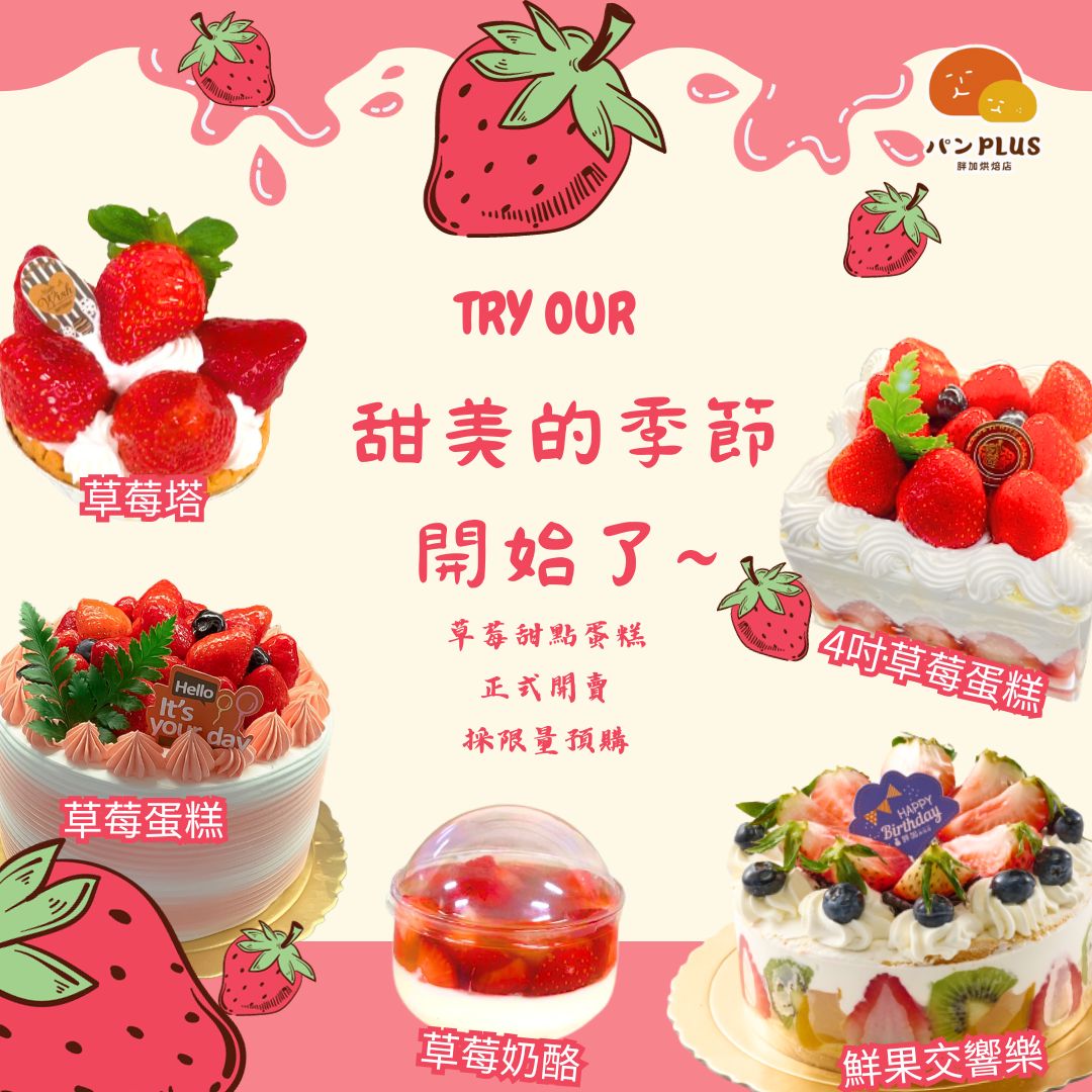 胖加-最新消息
