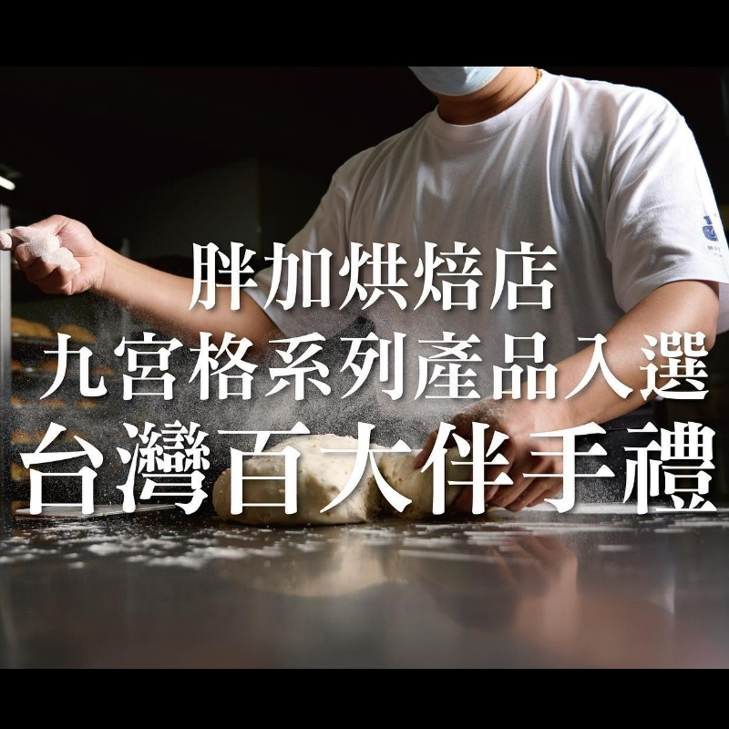 胖加-最新消息