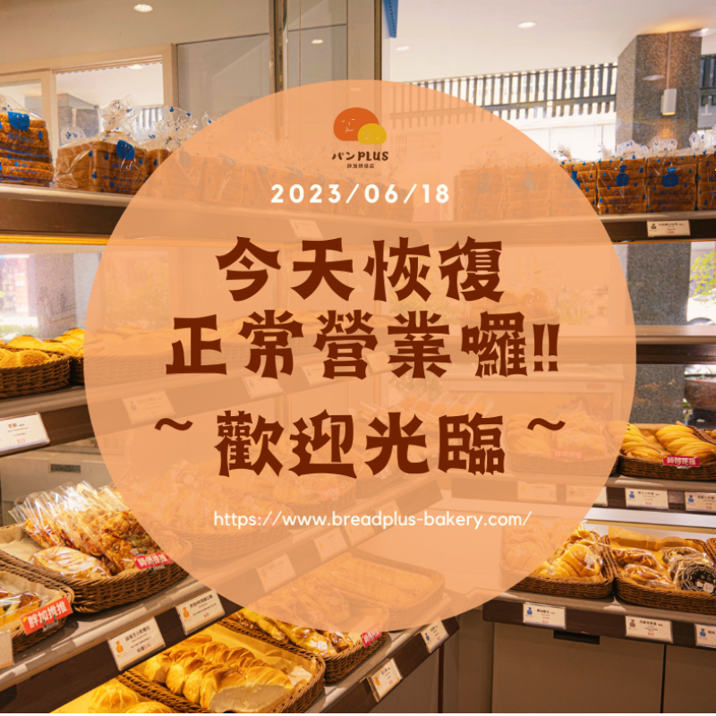 胖加-最新消息